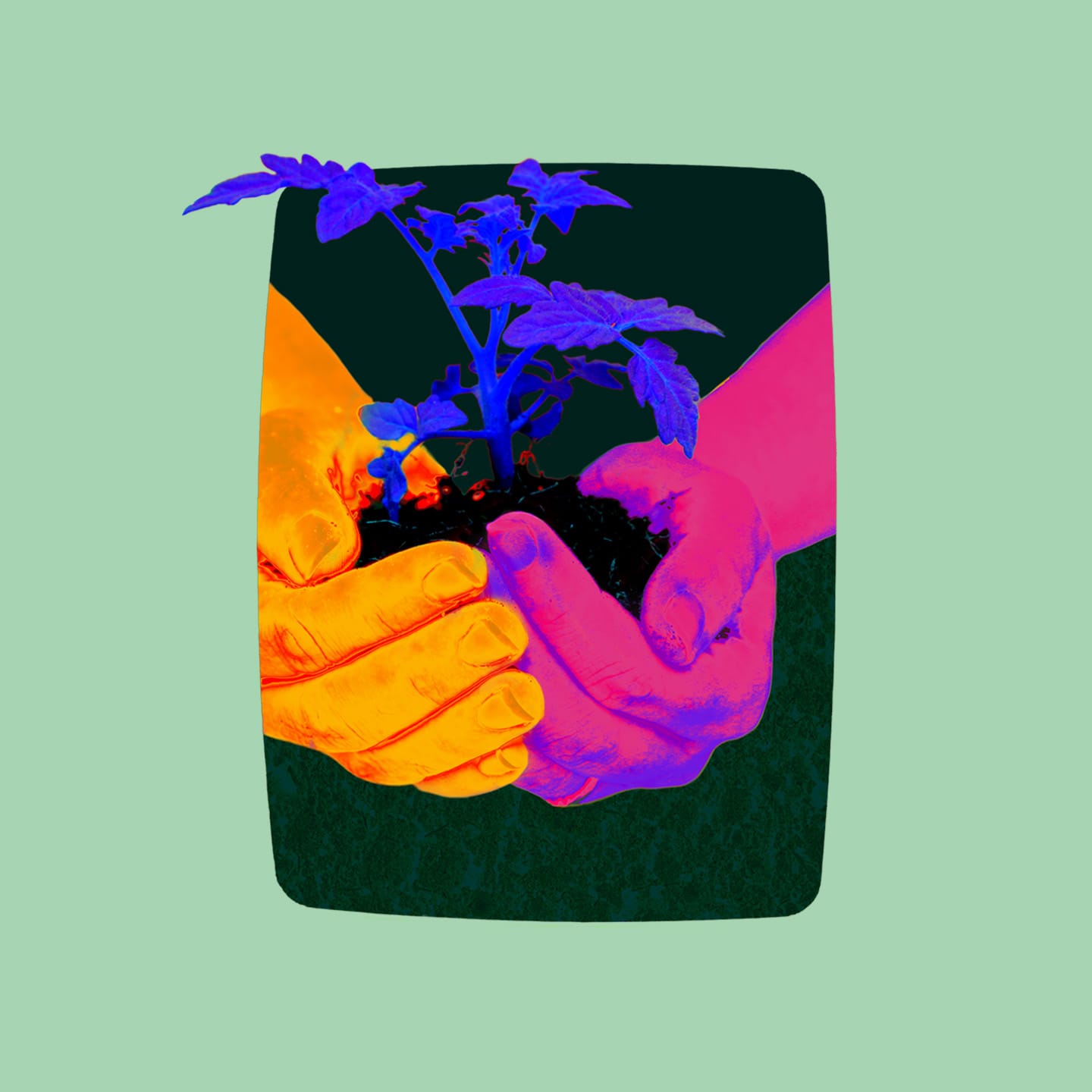Build Culture, Not Just Campaigns